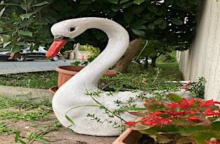 Ağva Ayışığı Otel  Genel 3